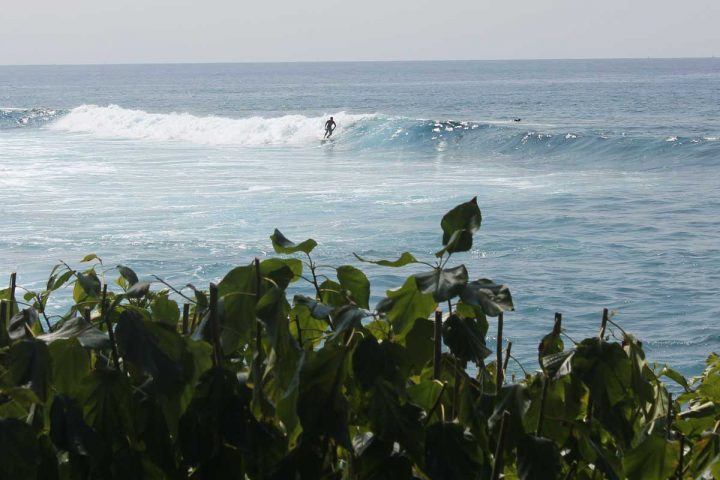 kahaluu bay 01