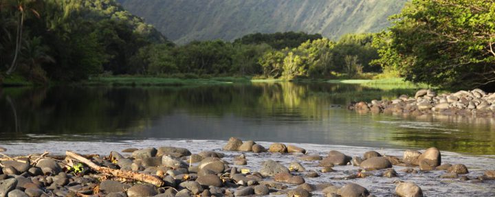 waipio valley narrow