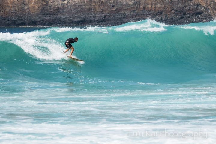 frank surfing 2