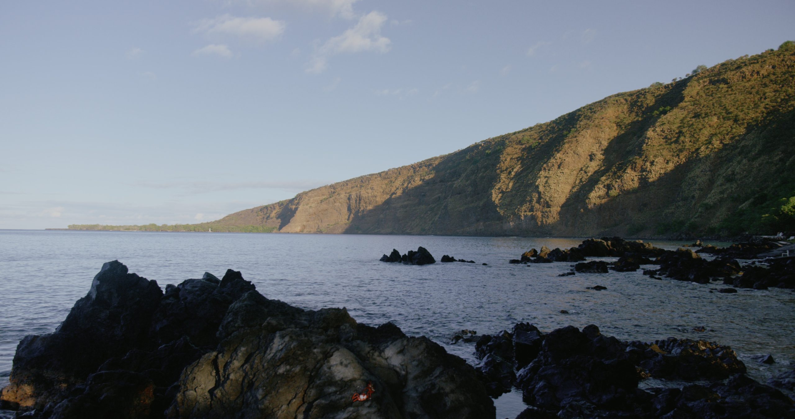 Kealakekua Bay