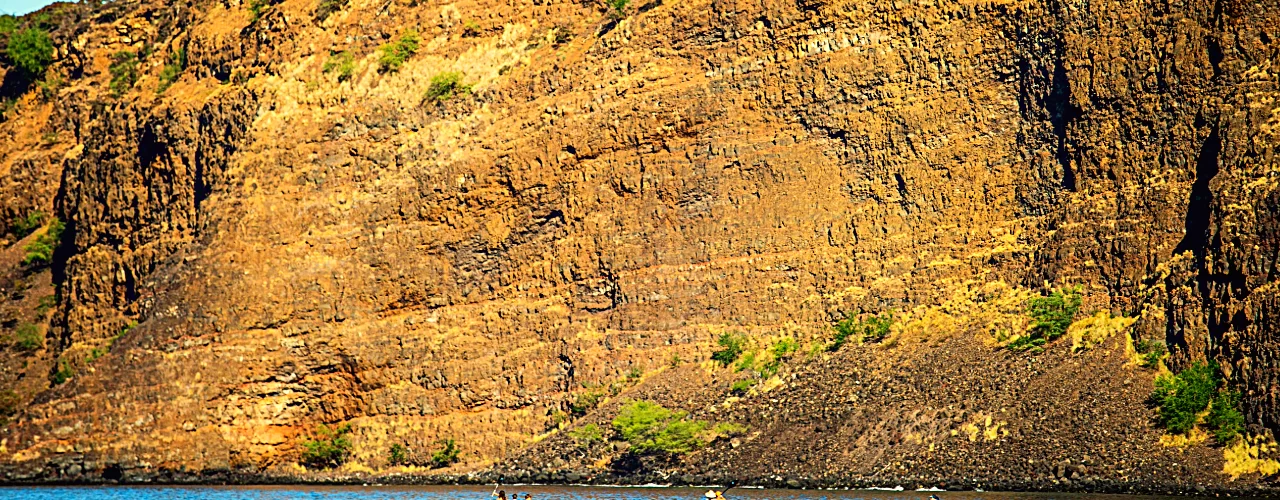 Guided Tours Kealakekua Bay