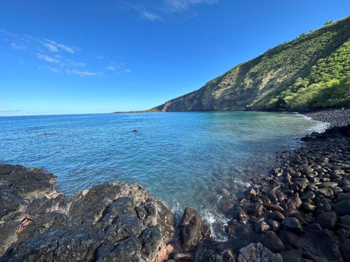 Kealakekua Bay Tour Reviews