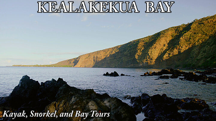 Things to Know about Kealakekua Bay Tours